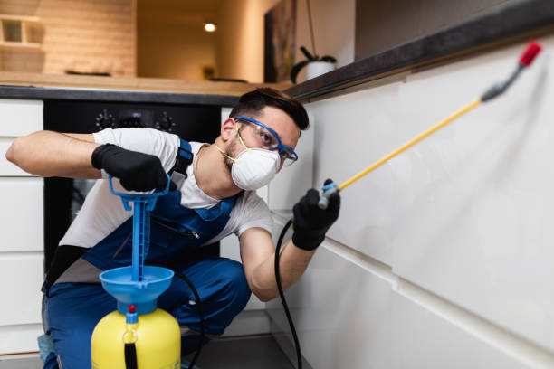 Best Pest Control Near Me  in Hastings, PA
