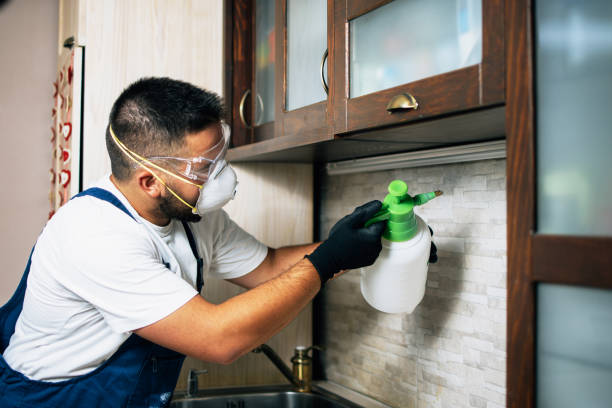 Best Wildlife Control Services  in Hastings, PA