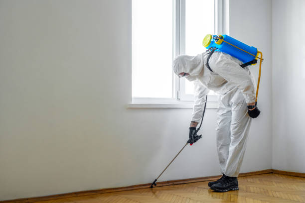 Pest Control for Restaurants in Hastings, PA