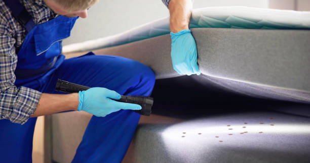 Best Residential Pest Control  in Hastings, PA