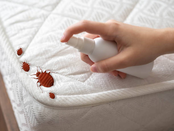 Best Local Pest Control Services  in Hastings, PA